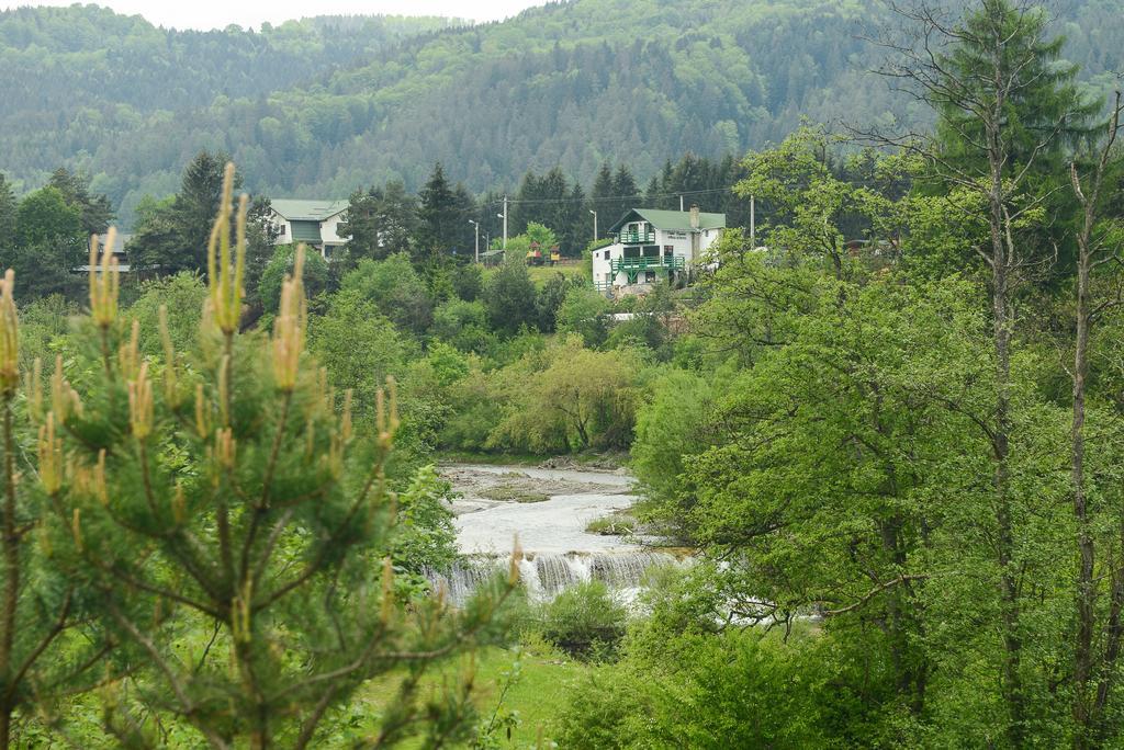 Vila Horia Bradet Hotel Săcele Eksteriør billede